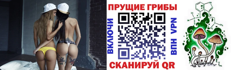 Псилоцибиновые грибы Psilocybe  Спас-Клепики 